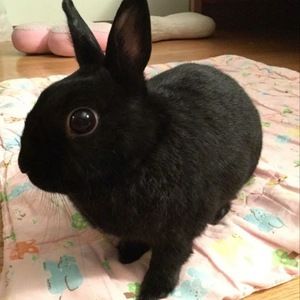 Meet your Posher, Serena