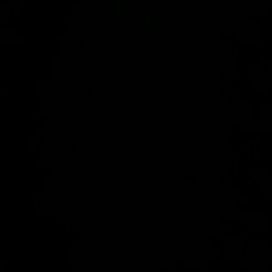 Meet your Posher, Connor