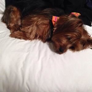 Meet your Posher, Elizabeth