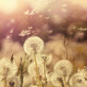 Meet your Posher, Ramon