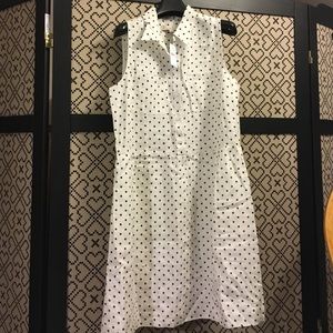 LOFT linen collar dress