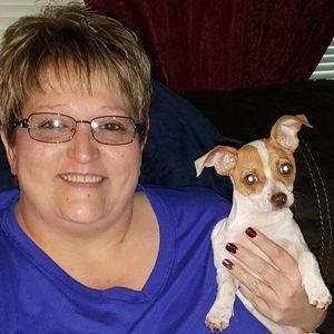 Meet your Posher, Dawn