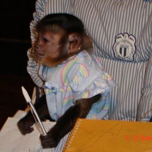 Meet your Posher, Patti