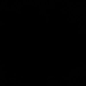 Meet your Posher, Tre