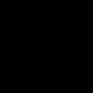 Meet your Posher, Tyaisha