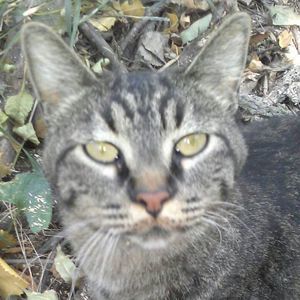 Meet your Posher, Brenda