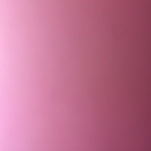 Meet your Posher, Riley