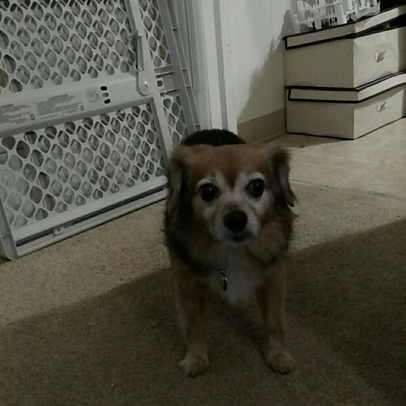 Meet your Posher, Ali - Picture 1 of 1