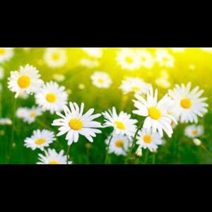 Meet your Posher, Celia