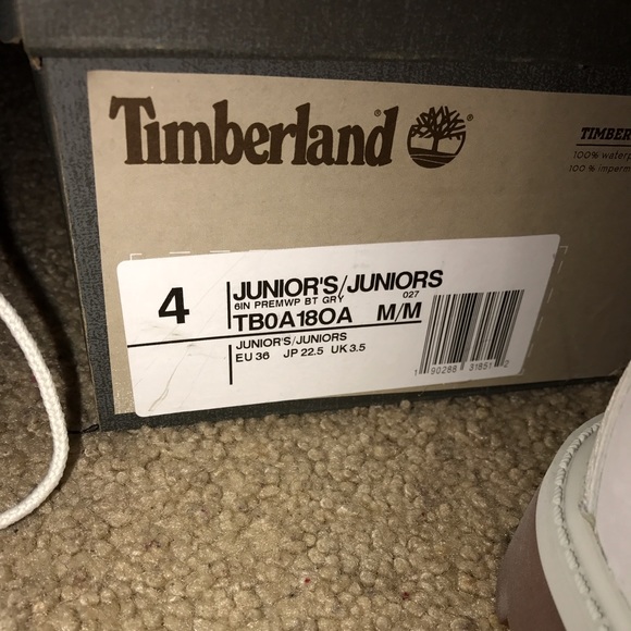 Timbs - Picture 3 of 3