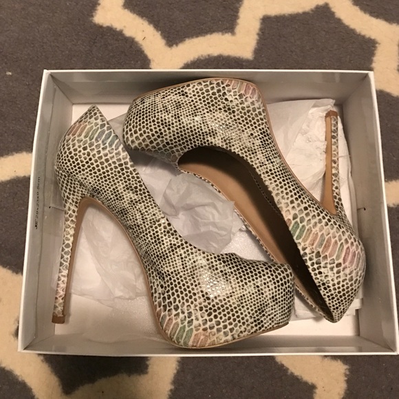 Steve Madden Nala Snakeskin Multicolor Pumps