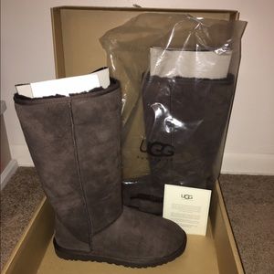 Brand New Ugg Boots! 👢