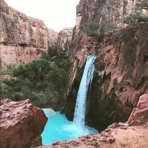 Meet your Posher, Crystal