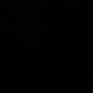 Meet your Posher, Oscar