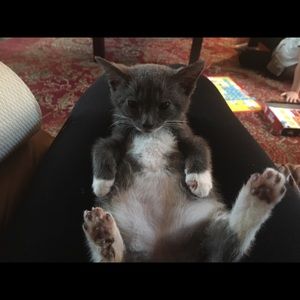 Meet your Posher, Deb