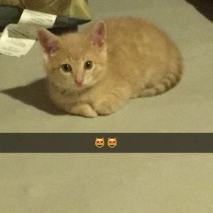 Meet your Posher, Drew