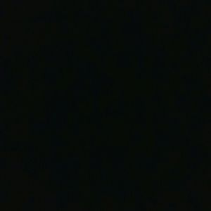 Meet your Posher, Shawn