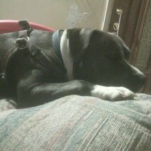 Meet your Posher, Aj