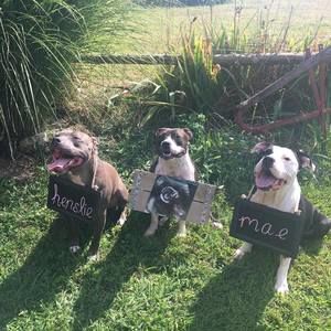 Meet your Posher, Dustin