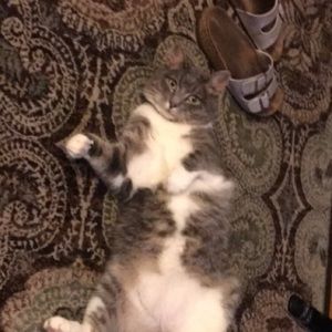 Meet your Posher, Meg