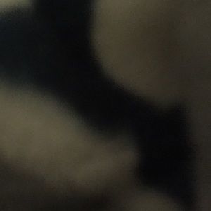 Meet your Posher, Walter