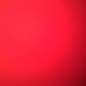 Meet your Posher, Chase