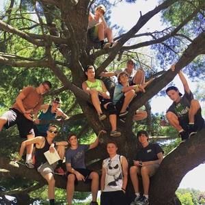 Meet your Posher, Brandt