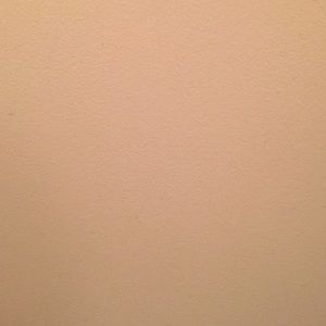 Meet your Posher, Fay