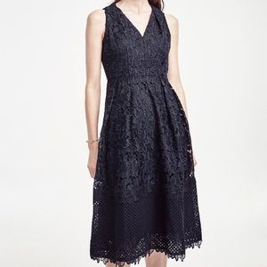 Ann Taylor Navy Blue Floral Lace Flare Dress