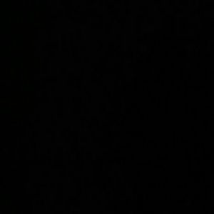 Meet your Posher, Mikey