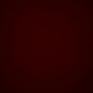 Meet your Posher, Dion