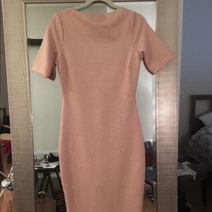 Zara Pale Pink Wiggle Dress Size M