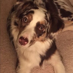 Meet your Posher, Brett