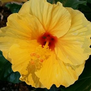 Thank you for visiting my page/closet.