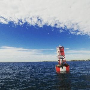 Meet your Posher, Violet