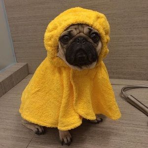 Meet your Posher, Aaliyah