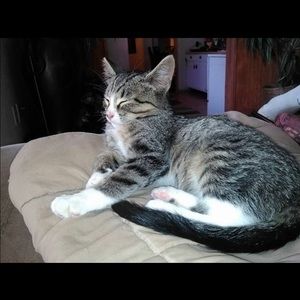 Meet your Posher, Ashlee