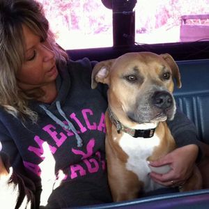 Meet your Posher, Tammy