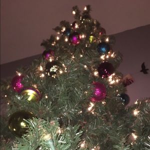 Meet your Posher, Breanna