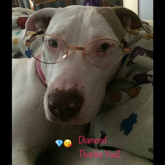 Meet your Posher, Natalie - Picture 3 of 3