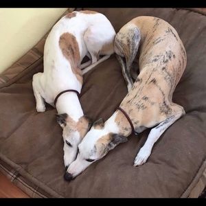 Meet your Posher, Circe