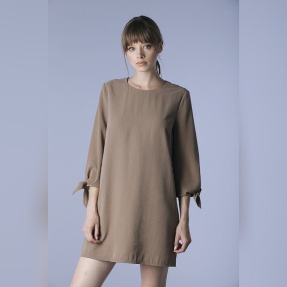 Elisabeth Tie Sleeve Shift Dress in Tan - Picture 3 of 4