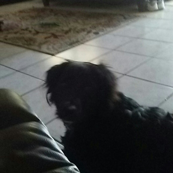 Meet your Posher, Kim - Picture 1 of 1