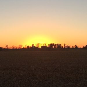 Meet your Posher, Bella