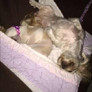 Meet your Posher, Brent