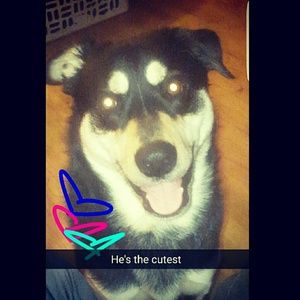 Meet your Posher, Brandy