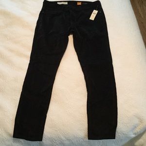 Anthropologie black pant