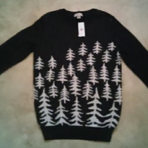 Cozy Christmas Ann Taylor Loft Sweater