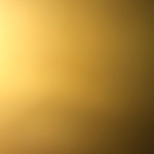 Meet your Posher, Savannah