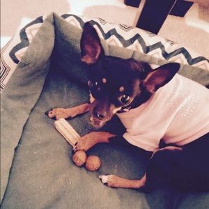 Meet your Posher, Jenna